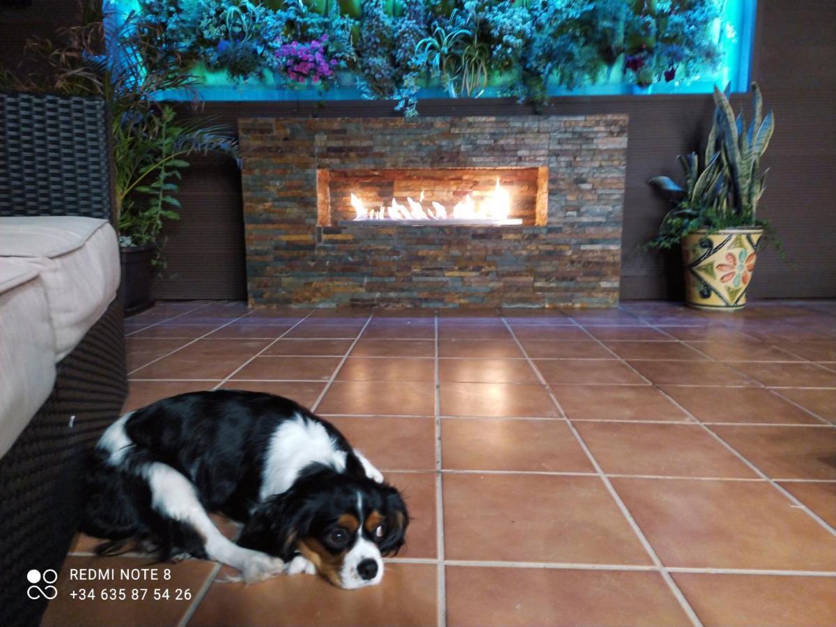 3 Bdr House Near La Zenia Private Lounge Terraces, Fire Places, Bbq, Kitchen, Parking Orihuela Extérieur photo